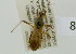  ( - NMK-ENTO 1888)  @11 [ ] Unspecified (default): All Rights Reserved  Unspecified Unspecified