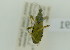  ( - NMK-ENTO 1891)  @11 [ ] Unspecified (default): All Rights Reserved  Unspecified Unspecified
