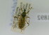  ( - NMK-ENTO 1892)  @11 [ ] Unspecified (default): All Rights Reserved  Unspecified Unspecified