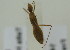  ( - NMK-ENTO 1940)  @11 [ ] Unspecified (default): All Rights Reserved  Unspecified Unspecified