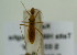  ( - NMK-ENTO 1943)  @11 [ ] Unspecified (default): All Rights Reserved  Unspecified Unspecified