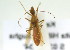  ( - NMK-ENTO 1944)  @11 [ ] Unspecified (default): All Rights Reserved  Unspecified Unspecified