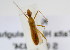  ( - NMK-ENTO 1945)  @11 [ ] Unspecified (default): All Rights Reserved  Unspecified Unspecified