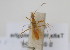  ( - NMK-ENTO 1946)  @11 [ ] Unspecified (default): All Rights Reserved  Unspecified Unspecified