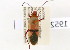  ( - NMK-ENTO 1952)  @11 [ ] Unspecified (default): All Rights Reserved  Unspecified Unspecified