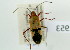  ( - NMK-ENTO 1953)  @11 [ ] Unspecified (default): All Rights Reserved  Unspecified Unspecified