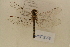  ( - NAT 558)  @13 [ ] Copyright (2011) NMK National Museums of Kenya