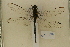  ( - NAT 626)  @12 [ ] Copyright (2011) NMK National Museums of Kenya