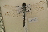  ( - NAT 629)  @12 [ ] Copyright (2011) NMK National Museums of Kenya