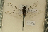  ( - NAV 636)  @14 [ ] Copyright (2011) NMK National Museums of Kenya