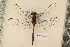  ( - NAV 637)  @11 [ ] Copyright (2011) NMK National Museums of Kenya