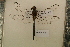  ( - NAV 641)  @13 [ ] Copyright (2011) NMK National Museums of Kenya