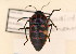  ( - TT 003)  @13 [ ] Copyright (2011) NMK National Museums of Kenya