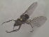  ( - LihuF10)  @12 [ ] Unspecified (default): All Rights Reserved  Unspecified icipe