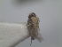  ( - LitrF12)  @12 [ ] Unspecified (default): All Rights Reserved  Unspecified icipe