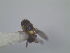  ( - LitrG01)  @12 [ ] Unspecified (default): All Rights Reserved  Unspecified icipe