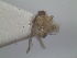  ( - LitrG03)  @12 [ ] Unspecified (default): All Rights Reserved  Unspecified icipe