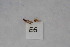  ( - 12HMCAD-159)  @12 [ ] Unspecified (default): All Rights Reserved  None Unspecified