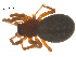  ( - 07CHU-AR-0008)  @12 [ ] CreativeCommons - Attribution (2009) Emily Robinson, Biodiversity Institute of Ontario Centre for Biodiversity Genomics
