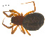  ( - 07CHU-AR-0010)  @12 [ ] CreativeCommons - Attribution (2009) Emily Robinson, Biodiversity Institute of Ontario Centre for Biodiversity Genomics