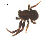  ( - 07CHU-AR-0016)  @12 [ ] CreativeCommons - Attribution (2009) Emily Robinson, Biodiversity Institute of Ontario Centre for Biodiversity Genomics