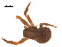  ( - 07CHU-AR-0022)  @12 [ ] CreativeCommons - Attribution (2009) Emily Robinson, Biodiversity Institute of Ontario Centre for Biodiversity Genomics