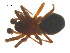  ( - 07CHU-AR-0028)  @13 [ ] CreativeCommons - Attribution (2009) Emily Robinson, Biodiversity Institute of Ontario Centre for Biodiversity Genomics