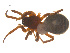  ( - 07CHU-AR-0029)  @12 [ ] CreativeCommons - Attribution (2009) Emily Robinson, Biodiversity Institute of Ontario Centre for Biodiversity Genomics