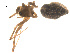  ( - 07CHU-AR-0040)  @12 [ ] CreativeCommons - Attribution (2009) Emily Robinson, Biodiversity Institute of Ontario Centre for Biodiversity Genomics