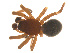  ( - 07CHU-AR-0041)  @12 [ ] CreativeCommons - Attribution (2009) Emily Robinson, Biodiversity Institute of Ontario Centre for Biodiversity Genomics