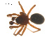  ( - 07CHU-AR-0042)  @12 [ ] CreativeCommons - Attribution (2009) Emily Robinson, Biodiversity Institute of Ontario Centre for Biodiversity Genomics