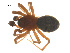  ( - 07CHU-AR-0043)  @12 [ ] CreativeCommons - Attribution (2009) Emily Robinson, Biodiversity Institute of Ontario Centre for Biodiversity Genomics