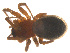  ( - 07CHU-AR-0044)  @12 [ ] CreativeCommons - Attribution (2009) Emily Robinson, Biodiversity Institute of Ontario Centre for Biodiversity Genomics