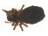  ( - 07CHU-AR-0045)  @12 [ ] CreativeCommons - Attribution (2009) Emily Robinson, Biodiversity Institute of Ontario Centre for Biodiversity Genomics