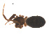  ( - 07CHU-AR-0049)  @12 [ ] CreativeCommons - Attribution (2009) Emily Robinson, Biodiversity Institute of Ontario Centre for Biodiversity Genomics