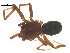  ( - 07CHU-AR-0053)  @12 [ ] CreativeCommons - Attribution (2009) Emily Robinson, Biodiversity Institute of Ontario Centre for Biodiversity Genomics