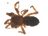  ( - 07CHU-AR-0054)  @12 [ ] CreativeCommons - Attribution (2009) Emily Robinson, Biodiversity Institute of Ontario Centre for Biodiversity Genomics