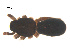  ( - 07CHU-AR-0057)  @12 [ ] CreativeCommons - Attribution (2009) Emily Robinson, Biodiversity Institute of Ontario Centre for Biodiversity Genomics