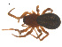  ( - 07CHU-AR-0058)  @13 [ ] CreativeCommons - Attribution (2009) Emily Robinson, Biodiversity Institute of Ontario Centre for Biodiversity Genomics
