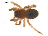  ( - 07CHU-AR-0068)  @12 [ ] CreativeCommons - Attribution (2009) Emily Robinson, Biodiversity Institute of Ontario Centre for Biodiversity Genomics