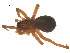  ( - 07CHU-AR-0084)  @13 [ ] CreativeCommons - Attribution (2009) Emily Robinson, Biodiversity Institute of Ontario Centre for Biodiversity Genomics