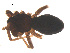  ( - 07CHU-AR-0089)  @12 [ ] CreativeCommons - Attribution (2009) Emily Robinson, Biodiversity Institute of Ontario Centre for Biodiversity Genomics