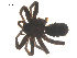  ( - 07CHU-AR-0207)  @12 [ ] CreativeCommons - Attribution (2009) Emily Robinson, Biodiversity Institute of Ontario Centre for Biodiversity Genomics