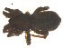 ( - 07CHU-AR-0221)  @12 [ ] CreativeCommons - Attribution (2009) Emily Robinson, Biodiversity Institute of Ontario Centre for Biodiversity Genomics