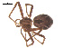  ( - 07CHU-AR-0229)  @12 [ ] CreativeCommons - Attribution (2009) Emily Robinson, Biodiversity Institute of Ontario Centre for Biodiversity Genomics