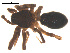  ( - 07CHU-AR-0235)  @12 [ ] CreativeCommons - Attribution (2009) Emily Robinson, Biodiversity Institute of Ontario Centre for Biodiversity Genomics