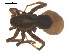  ( - 07CHU-AR-0247)  @13 [ ] CreativeCommons - Attribution (2009) Emily Robinson, Biodiversity Institute of Ontario Centre for Biodiversity Genomics