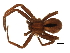  ( - HLC13393)  @12 [ ] CreativeCommons - Attribution (2009) Unspecified Centre for Biodiversity Genomics