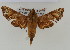  ( - NMK-ENTO 2785)  @11 [ ] Unspecified (default): All Rights Reserved  Unspecified Unspecified
