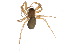  (Diplocentria retinax - BIOUG18640-B09)  @12 [ ] CreativeCommons - Attribution (2015) CBG Photography Group Centre for Biodiversity Genomics